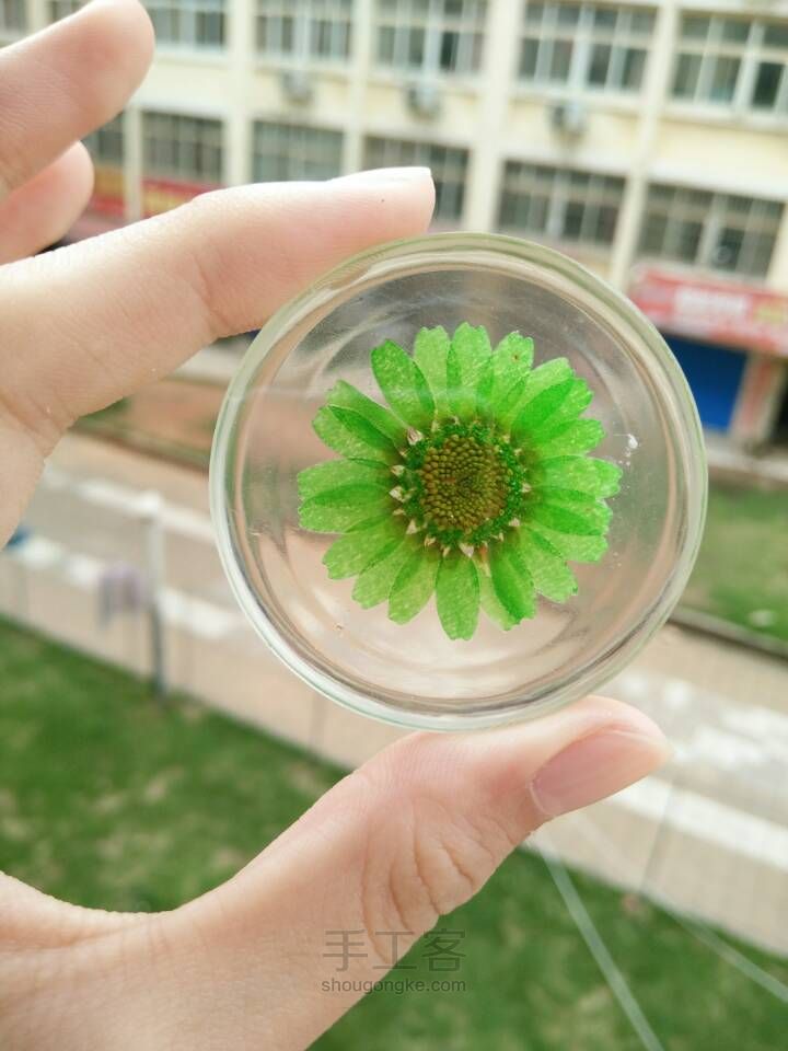 手工制作滴胶叶子标本